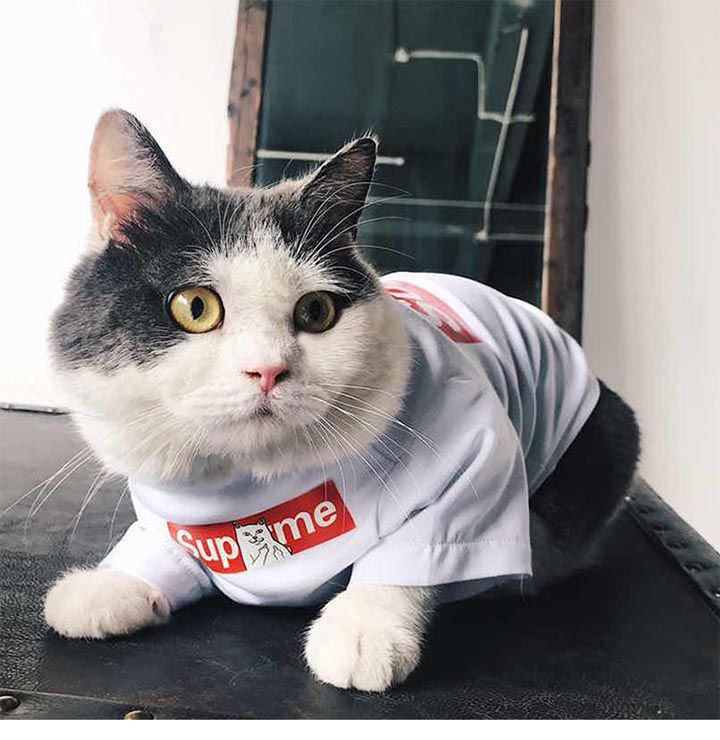 supreme 猫服 半袖